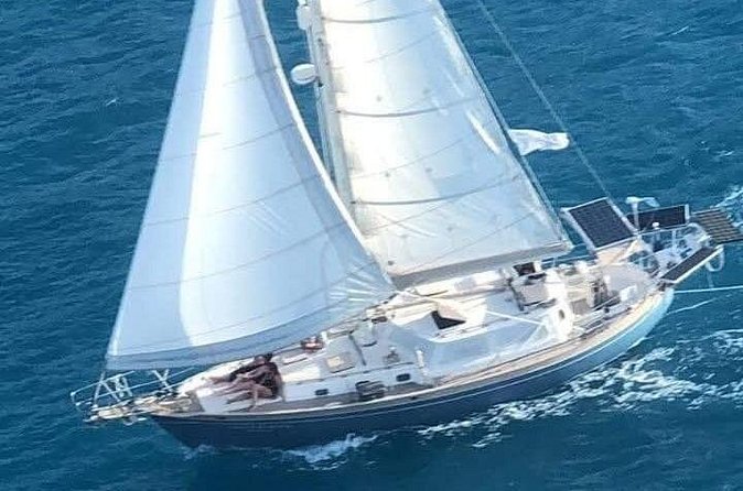 I Like Turtles Private Sailing and Snorkeling from Sapphire - Who will enjoy this St. Thomas charter most
