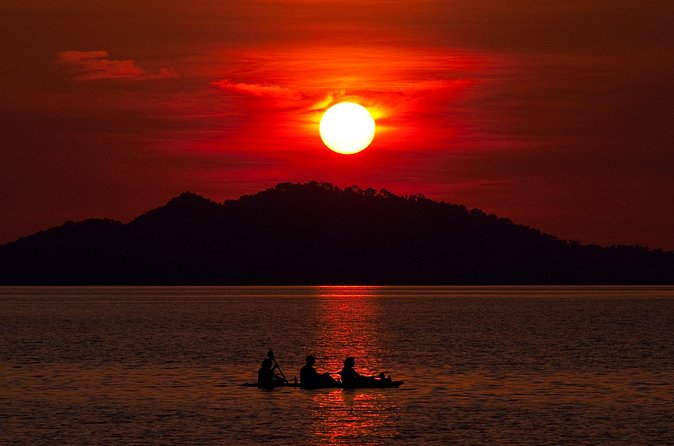 Illuminated Night Kayaking at the Elysian Resort - What the guide adds to the experience
