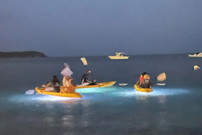 Illuminated Night Kayaking at the Elysian Resort - Arriving at the Elysian Beach Resort