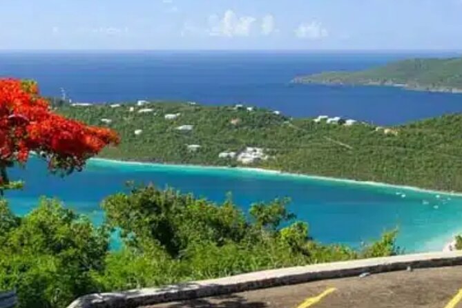 Island Buggy Excursions - What the $499 group price really buys