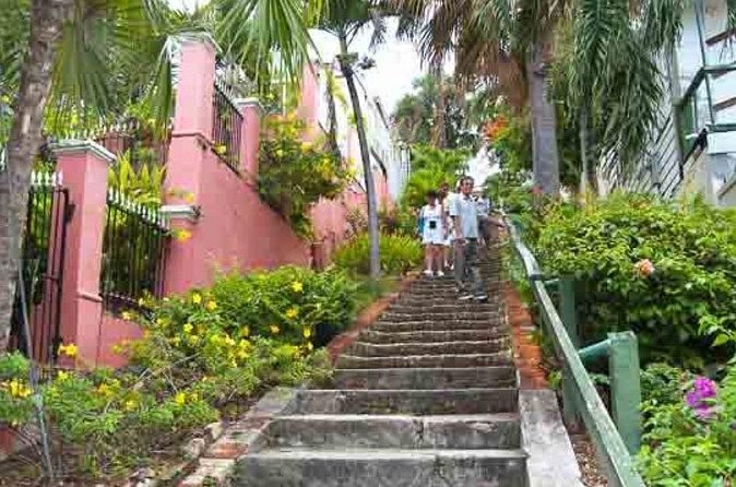 Island Icons & Treasures Tour - St. Thomas USVI - Mountain Top for a wider island panorama