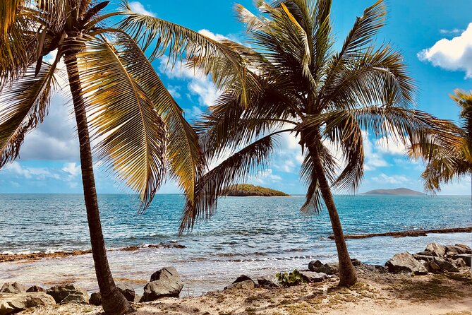Island Life Jeep Tours - Your Day Your Way Private Excursion! - Price, Group Size, and Overall Value