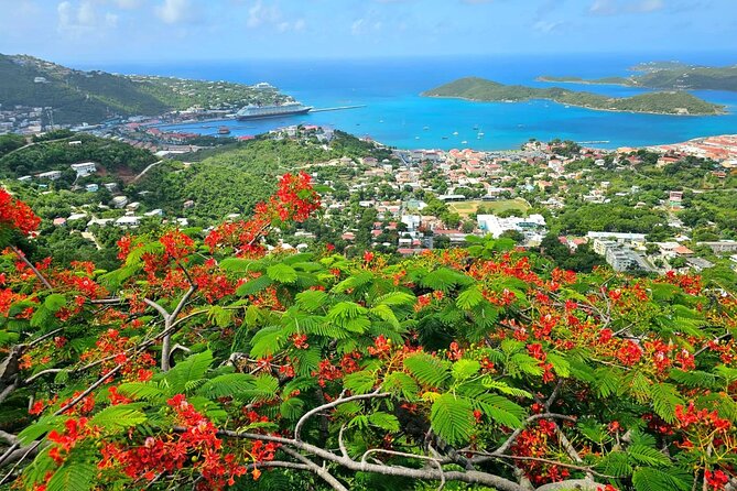 Island Life Jeep Tours - Your Day Your Way Private Excursion! - Scenic Drives, Drake’s Seat, and Mountain Top
