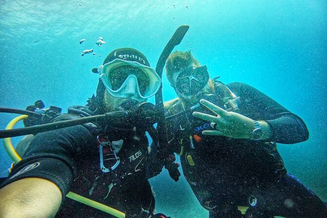 Island Wreck and Reef Scuba Excursion - Is $185 a good value?