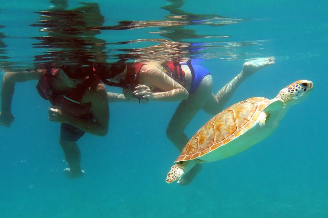 Kayak and Sea Turtle Snorkel with Beach Break - Learning to paddle from a sandy beach