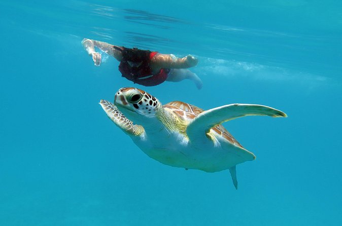Kayak and Sea Turtle Snorkel with Beach Break - Crossing the bay with Sven or another guide