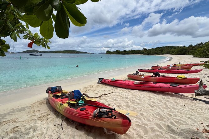 Kayak & Snorkel with Sea Turtles, National Park, St. John - Snorkeling over seagrass with turtles below
