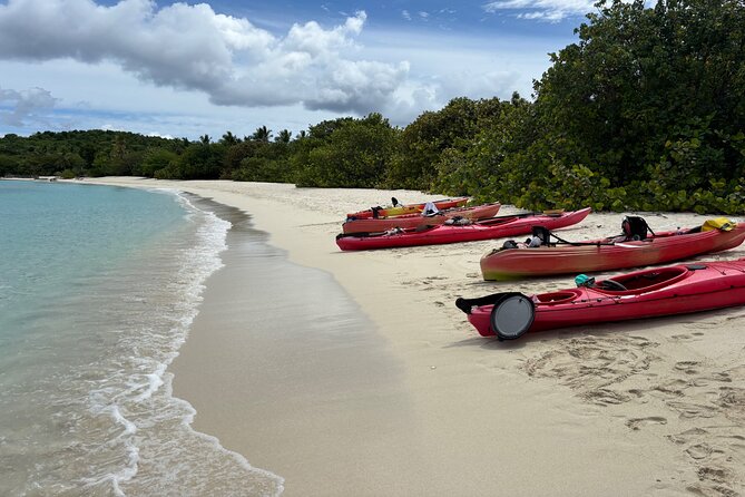 Kayak & Snorkel with Sea Turtles, National Park, St. John - What $119 includes, and where the value lies