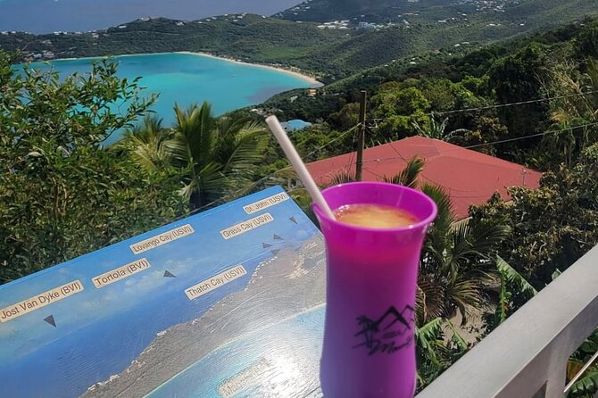 Luxury Private Tour in ST.Thomas(6per group) - What this private St. Thomas outing is really like
