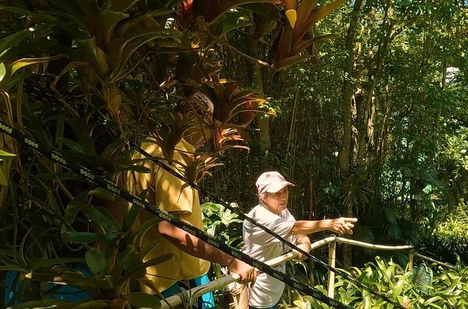 Luxury Private Tour in ST.Thomas(6per group) - Local culture turns a drive into a real introduction