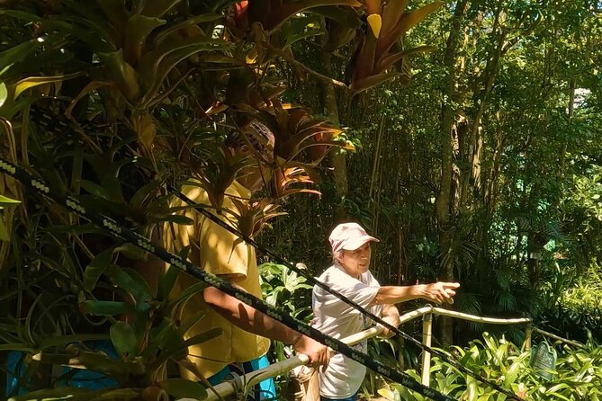Luxury Private Tour in ST.Thomas(6per group) - Charlotte Amalie is the place for shopping and Danish-era streets