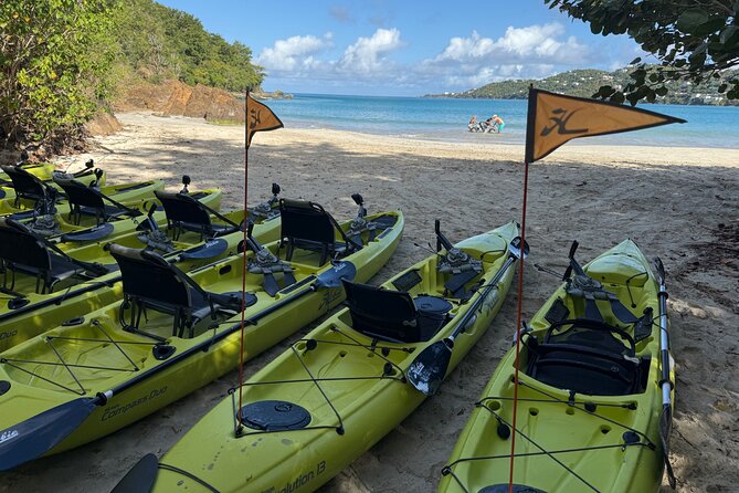 Magens Bay Nature Walk & premium hands-free Hobie Kayak Adventure - Key Points to Know Before You Book