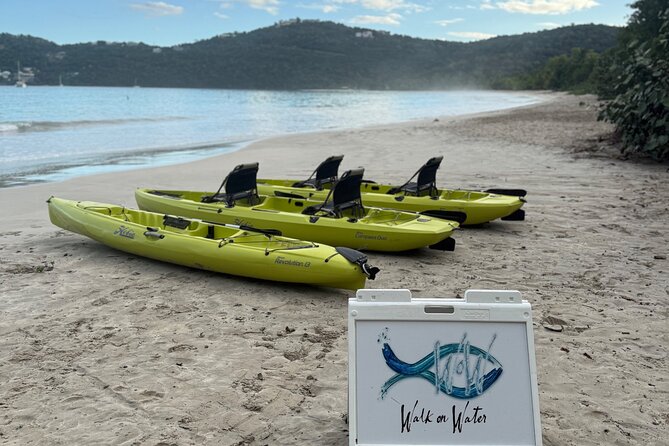 Magens Bay Nature Walk & premium hands-free Hobie Kayak Adventure - Should You Book the Magens Bay Kayak Adventure?