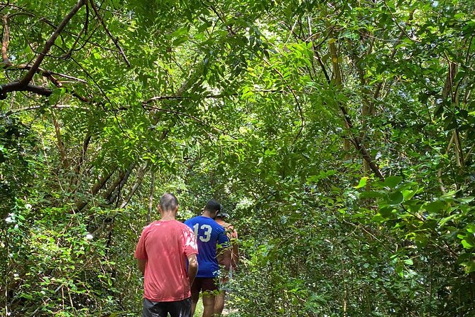 Magens Bay Trail Hiking Tour - Starting at the Magens Bay Trailhead