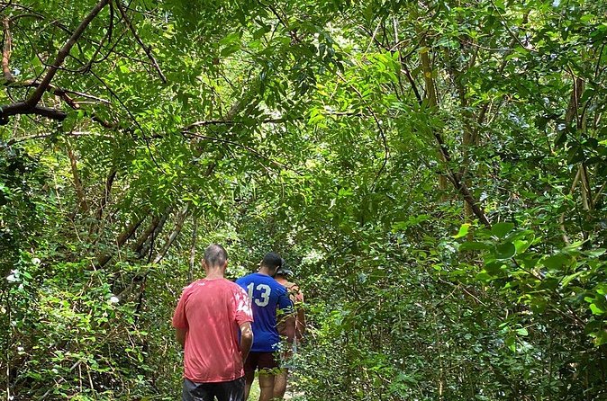 Magens Bay Trail Hiking Tour - Reaching Magens Bay Beach