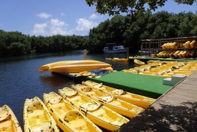 Mangrove Lagoon Kayak Rental in St Thomas