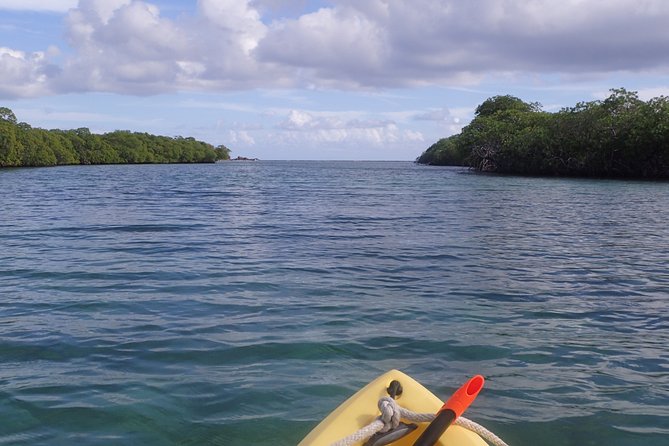 Mangrove Lagoon Kayak Rental in St Thomas - Reaching the cays and nearby islands