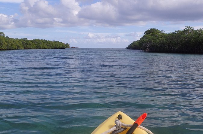 Mangrove Lagoon Kayak Rental in St Thomas - How long you really need