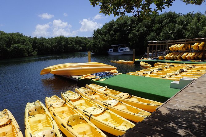 Mangrove Lagoon Kayak Rental in St Thomas - Paddling through mangrove tunnels