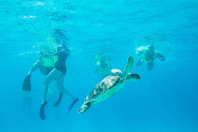National Park Snorkeling Excursion - Key points to know before you book