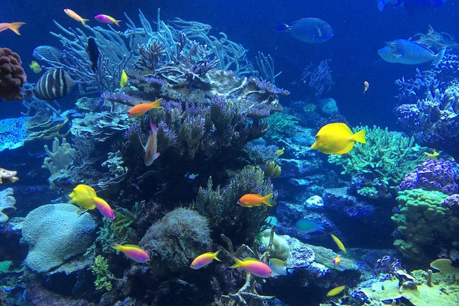 National Park Snorkeling Excursion - Is $90 a fair price?