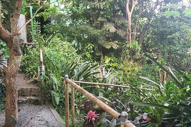 Nature and Sightseeing at Phantasea Tropical Botanical Garden - How much walking should you expect?