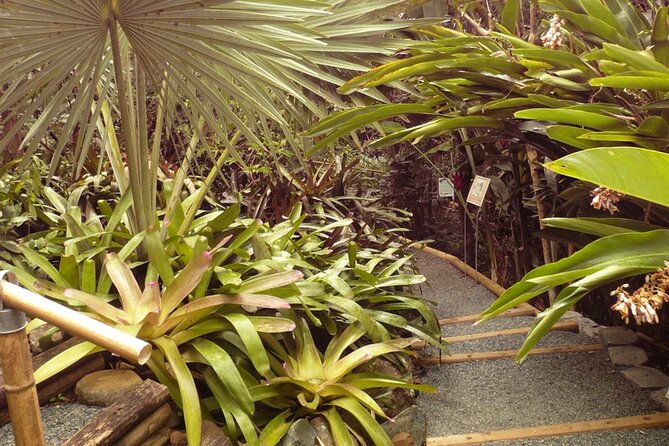 Nature and Sightseeing at Phantasea Tropical Botanical Garden - A practical plan for getting the most from the visit