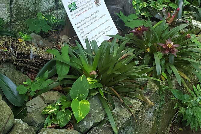 Nature and Sightseeing at Phantasea Tropical Botanical Garden - Why the local guide and pickup matter