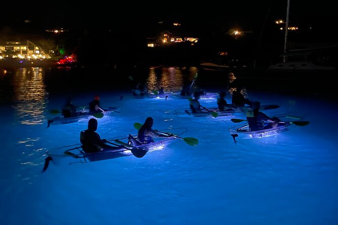 Night Kayak Tour St. John - Westin Resort - Key points before you book