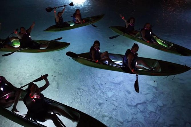 Night Kayak Tour St. John - Westin Resort - Tarpon, ballyhoo, bats, and stingrays
