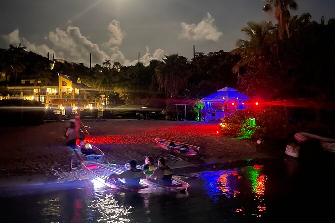 Night Kayak Tour St. John - Westin Resort - Who will enjoy this most?