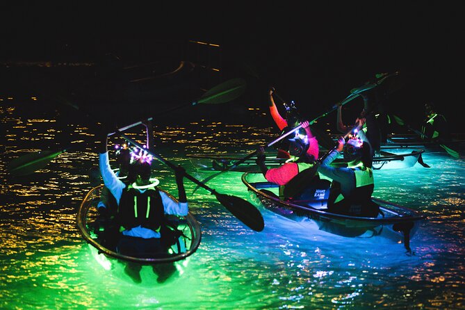 Night Kayak Tour St. Thomas - Westin Frenchman's Reef - A glowing start at Westin Frenchman’s Reef