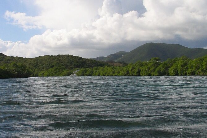On Your Own: Kayak in the Mangrove Lagoon - Beaching the kayak and walking Cas Cay