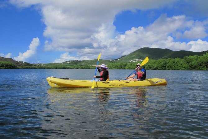 On Your Own: Kayak in the Mangrove Lagoon - Snorkeling in shallow water