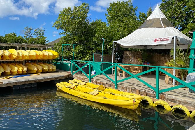 On Your Own: Kayak in the Mangrove Lagoon - Bird Island and the open-water feel