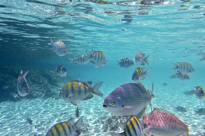 Paradise Taxi & Tours USVI-St Thomas- Airport Transfer Sapphire / Crystal Cove - Meeting your driver at Cyril E. King Airport