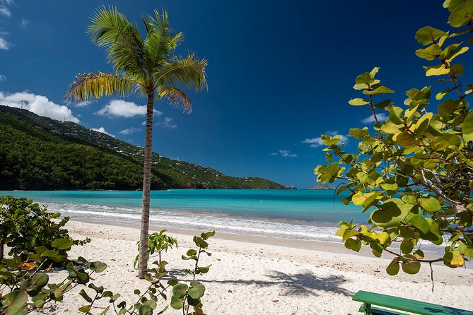 Paradise Taxi & Tours USVI-St.Thomas-Virgin Islands-Island Magen's Beach Tour - Why This St. Thomas Tour Works Well