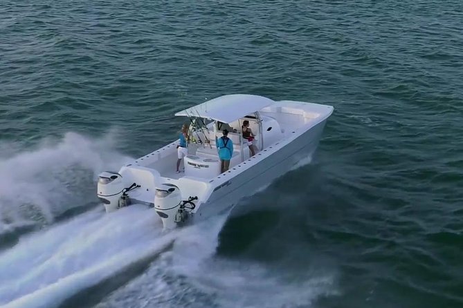 Private Fast Power Catamaran. Full or Half Day for Beach Hopping, Snorkel & Swim - Snorkeling with turtles, fish, and coral