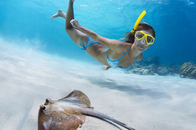 Private Full Day BVI Boat Charter Aboard MV Aquarius - Weather, availability, and cancellation timing