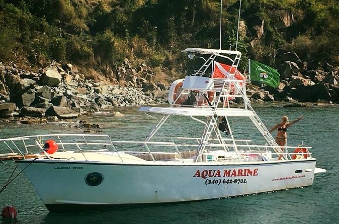 Private Full Day Guided Snorkeling or Diving Charter in St Thomas - Christmas Cove and the hunt for turtles