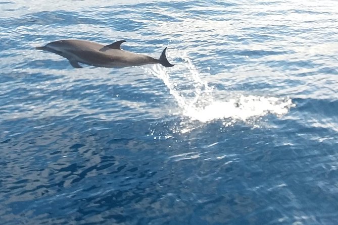 Private Full Day Sail/ Snorkel Experience USVI (Sapphire Marina, STT pick up) - What the $1,975 price really means