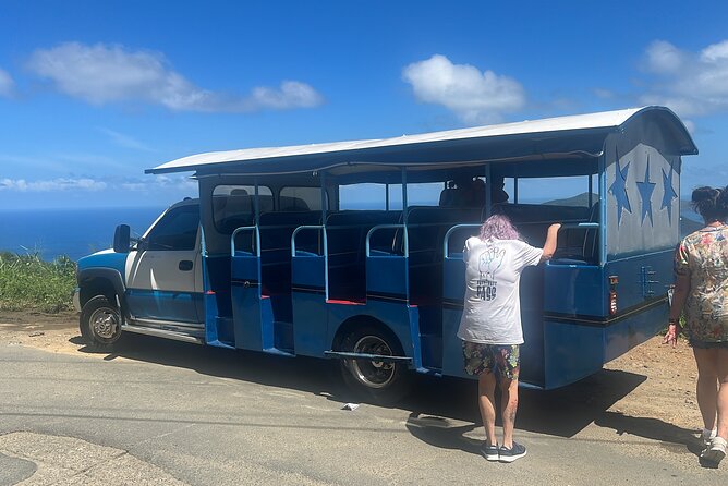 Private Half Day Tour in St. Thomas Virgin Islands with Guide - Who will enjoy this tour most?