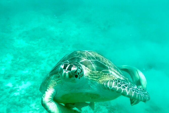 Private Luxury Catamaran Half Day Charter - Why a Private St. Thomas Charter Works Well