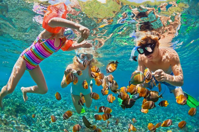 Private Luxury Charter Aboard New Multi-Deck Lagoon Catamaran - Snorkeling Around Buck Island and Nearby Cays
