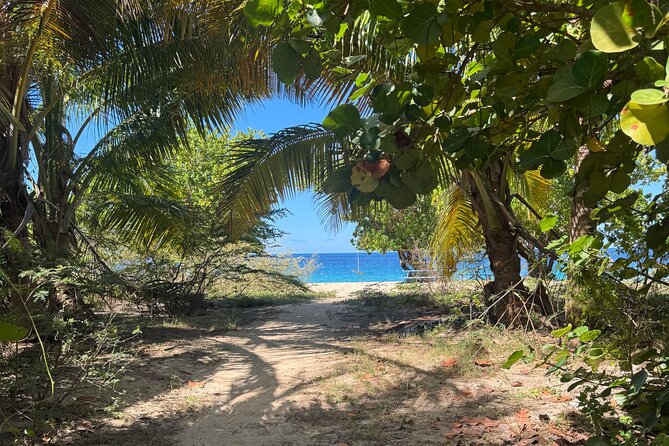 Private Open-Air Jeep Adventure with Tropic Sun –Hidden Beaches - Five things to know before you book