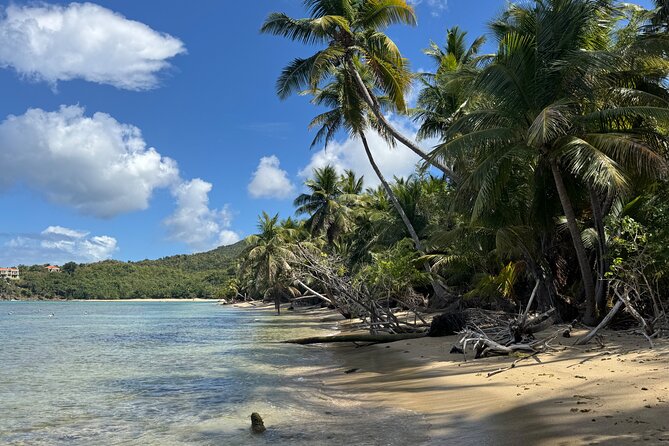 Private Open-Air Jeep Adventure with Tropic Sun –Hidden Beaches - Brewer’s Bay offers calm water and a local feel