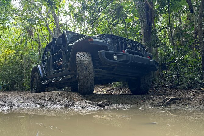Private Open-Air Jeep Adventure with Tropic Sun –Hidden Beaches - The quiet beaches are the heart of the experience