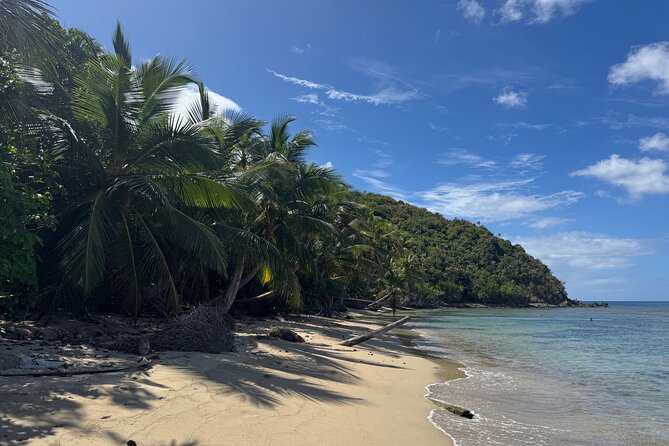 Private Open-Air Jeep Adventure with Tropic Sun –Hidden Beaches - Drake’s Seat is brief but worth the camera