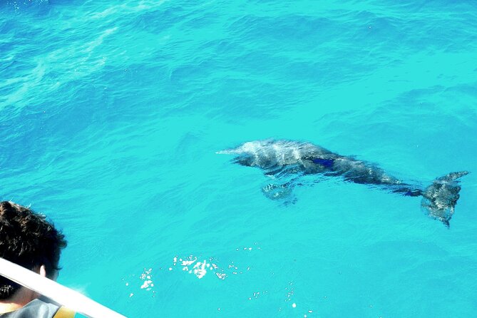 Private Sailing Tour of Pirate Waters and Shipwrecks - Key Points Before You Book