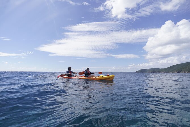 Reef and Turtle Adventure - Kayak and Snorkel Tour - Paddling the coast before the snorkeling begins